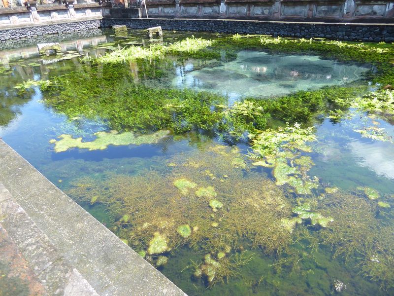 Here's the spring itself. welling up in brilliant clarity. Today's tourists look good in comparison to an episode that took place here in th