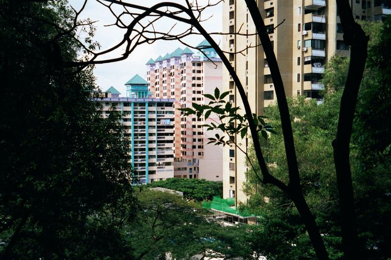 A block or two away, an older generation of public housing has been upgraded into pastel-central. The trees are part of Outram Park.