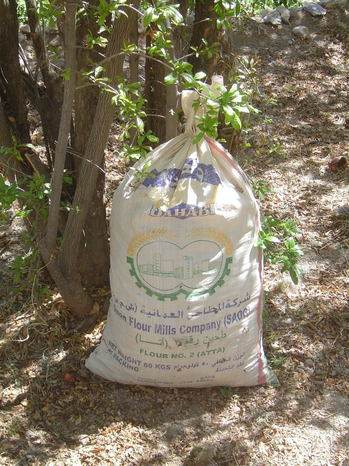 The bags are used to... Well, wait a moment.
