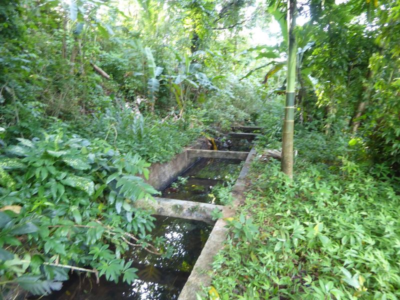 Aha! A lined ditch leading to the water purification plant that served both the airfield and the town.