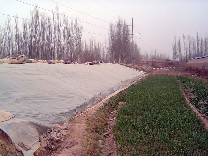 Here the heavy covers are rolled up, though plastic sheeting is still in place against spring chills.