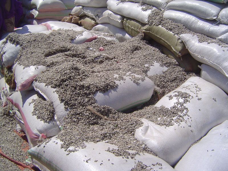 Yup, cottonseed.