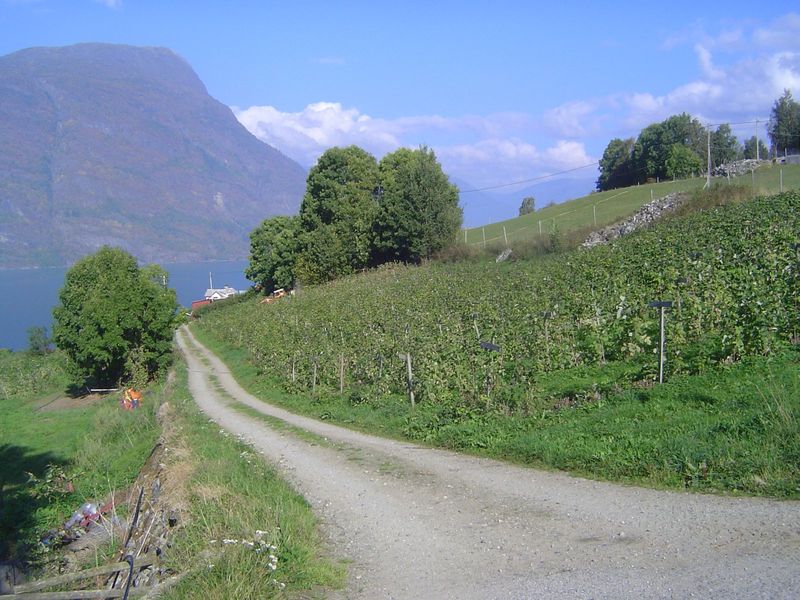 Centuries past, the crops here were barley and hay, supplemented after 1800 by potatoes. Now, however, there are many apple orchards and, as