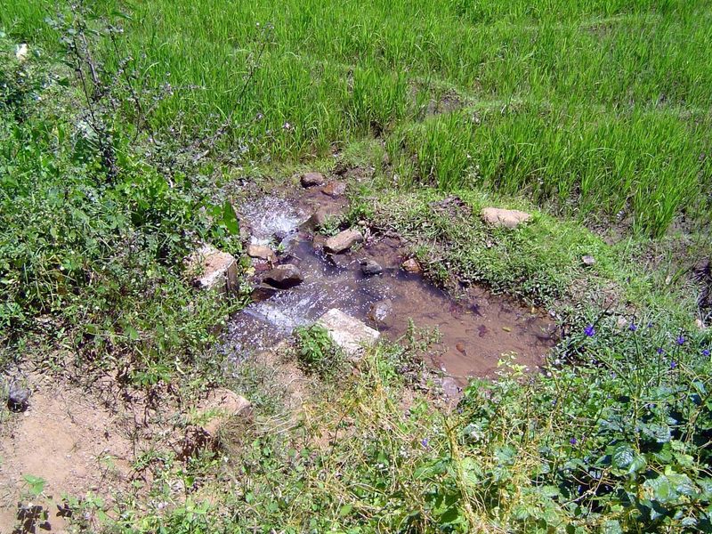 Head of a field ditch.