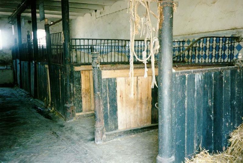One of its horse stalls was occupied.