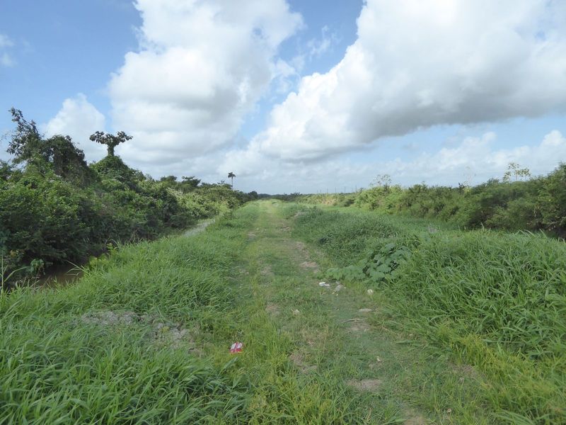 And ditches leading to them, along with rough tracks to the back of the holding, usually about a kilometer from the coast.