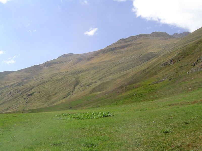 This may be Heidi country, but it's also scalped. The forest disappeared a long time ago.