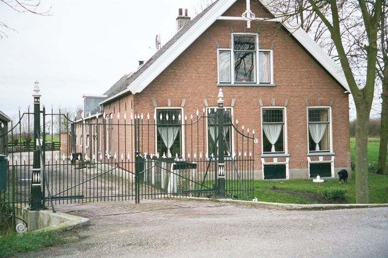 Here, the immaculate house—as tidy as lace.