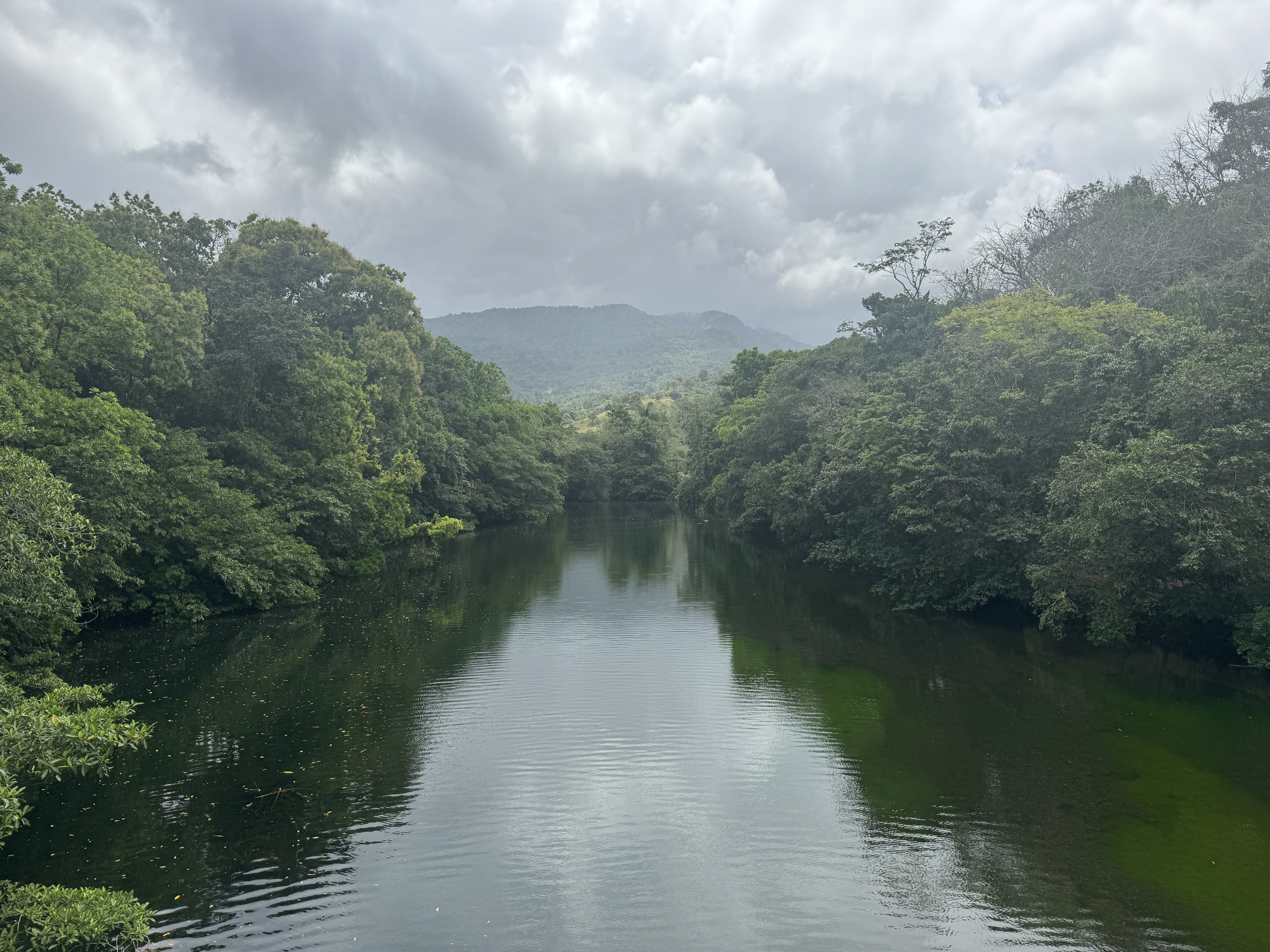 I did look but did not find the terminus of the Camino Real.  Apparently, villagers still used the road as late as 1912.   Here's a river cr