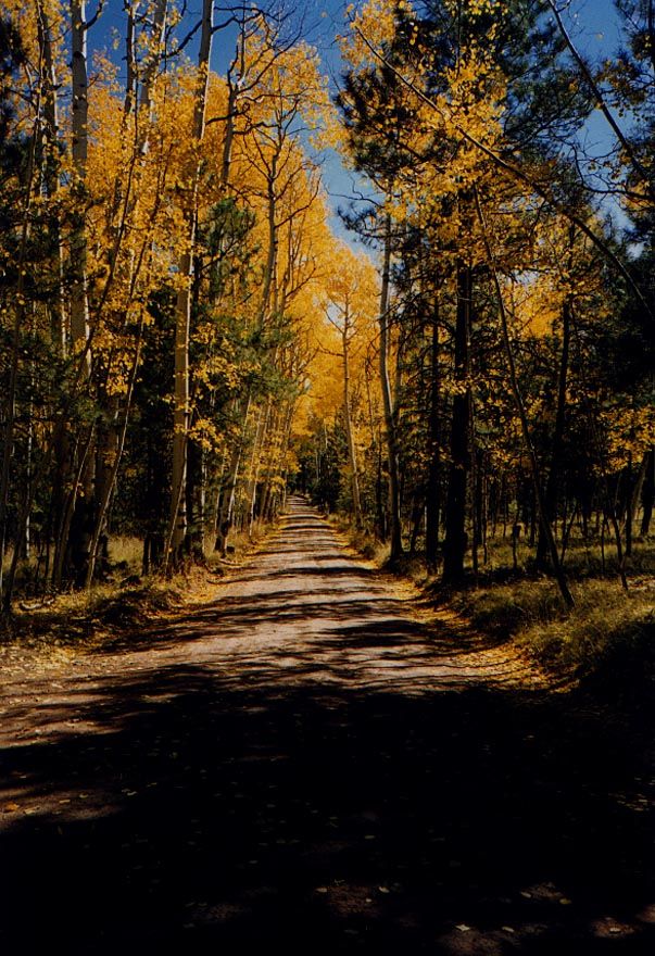 The countryside still remains beautiful, perhaps mostly because it's very empty.