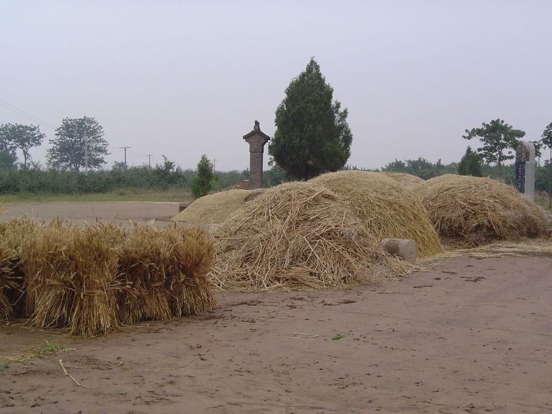 Tombs dot a threshing ground.