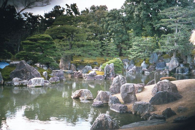 The garden flanks the palace, so that several rooms look directly upon it. Question: would the view be more dramatic if the water was replac