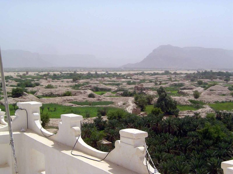 We've climbed up to the top of a building in Shibam to overlook the countryside, where gardens have been enclosed with earth walls.