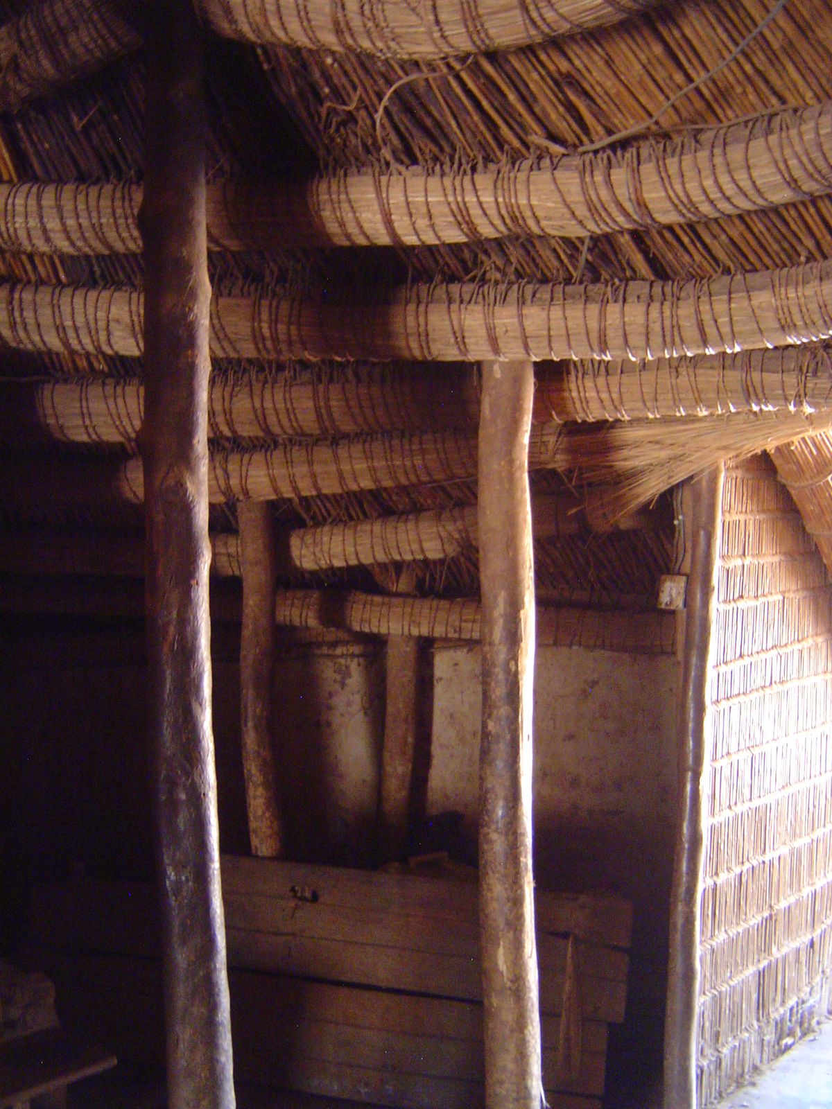 Exposed poles like these were normally wrapped in bark cloth. Planted half a meter into the ground, they were set in circles. All the pole w