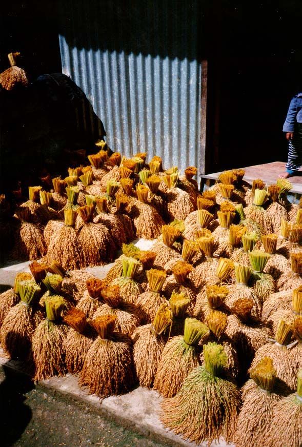 Beautiful but labor-intensive harvested bundles.