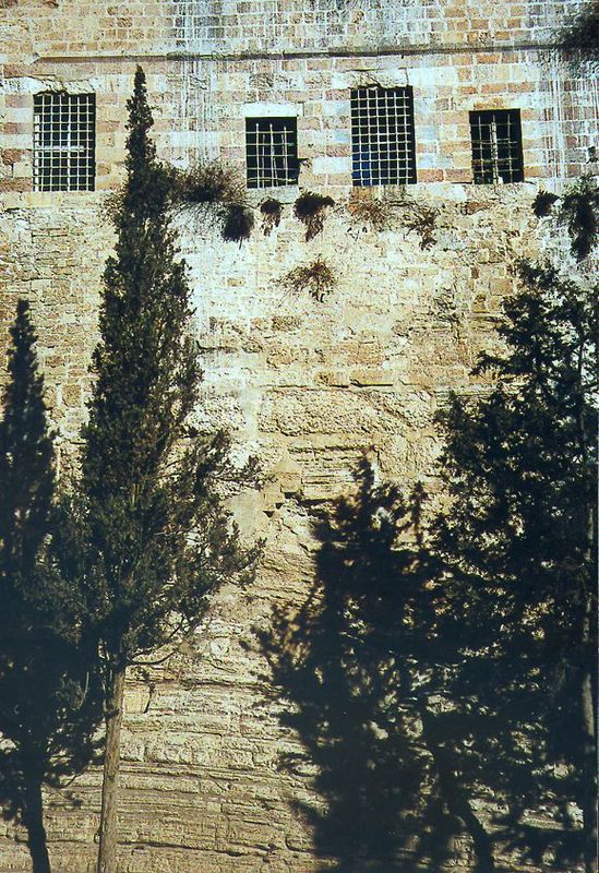 The almost unvisited north end of the Haram abuts against a wall atop which now stands a 14th century Koranic school. Old as it is, the scho