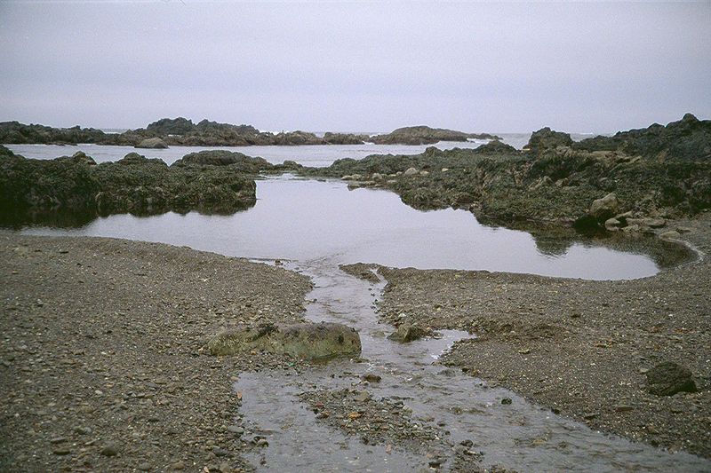 Drainage from one of the countless streams that flow to the sea, here at the beach to which the walkway leads.