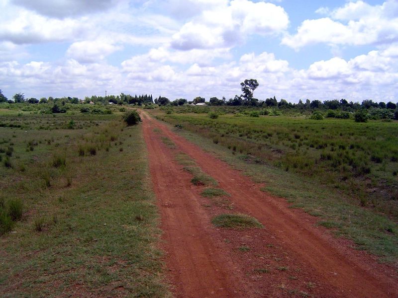 On the other hand, the vegetation ten miles south of the capital hinted at abandoned cropland.
