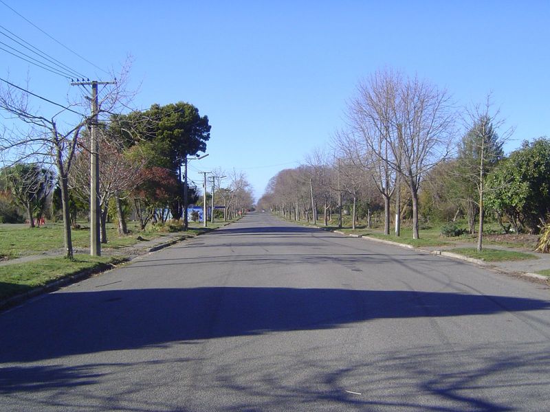 Whole streets lie abandoned, presumably destined for some kind of rewilding.