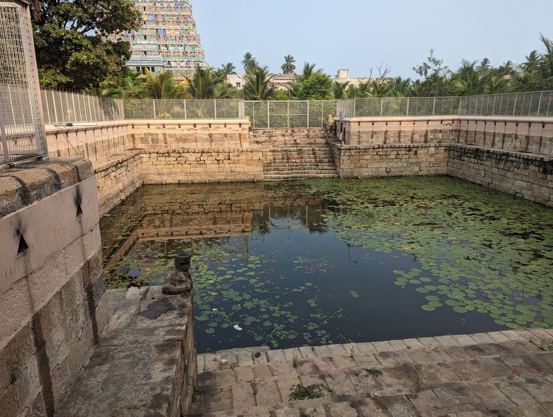 Another pond or tank.