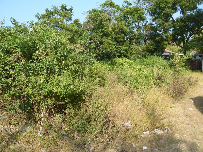 Prabakharan's family had been prosperous, but their home was obliterated and the site early in 2020 was overgrown.