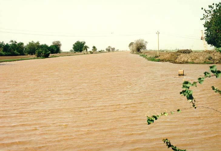 The main canal, near Wad Medani.