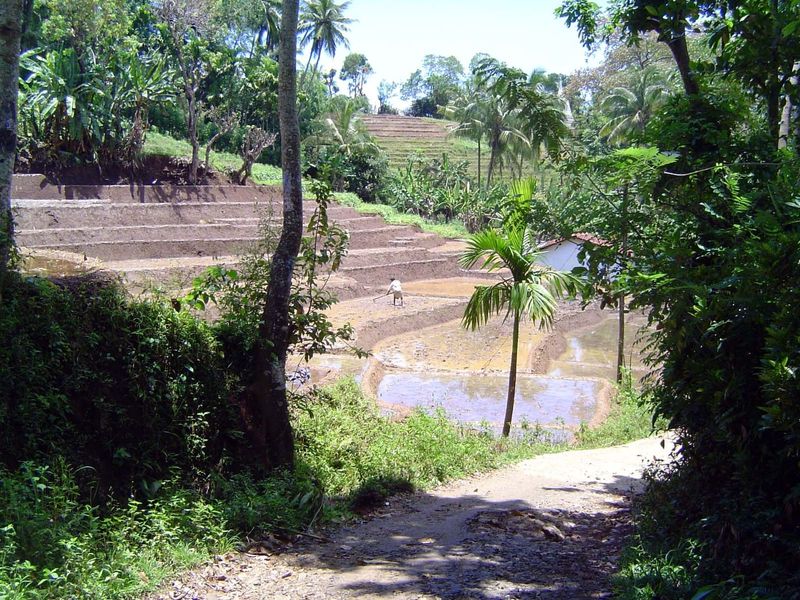 The road descends a long grade before passing the first rank of terraces.