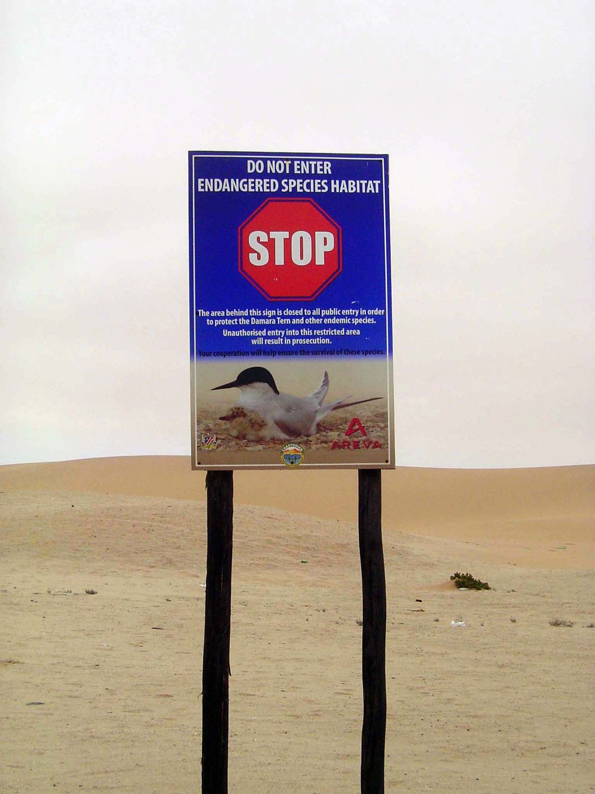 One's man desert is another's riot of biodiversity.