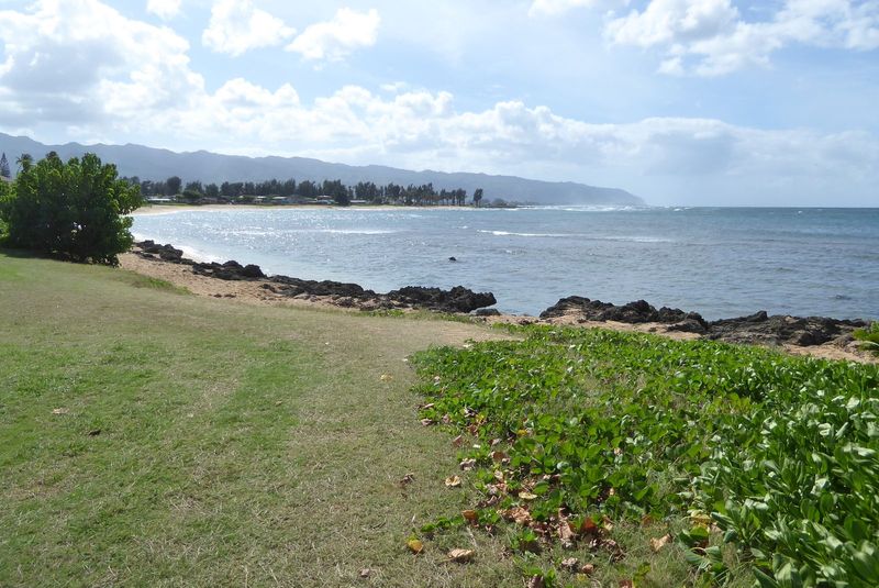We've come a few miles farther east along the north shore to Kaiaka Bay Beach Park. We're close to the site of Dillingham's old hotel, which