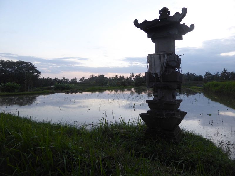 You can see how Krause would be a sitting duck for Bali. Here, at sunset, is a shrine to Dewi Sri, the rice goddess. Made Wijaya the adopted