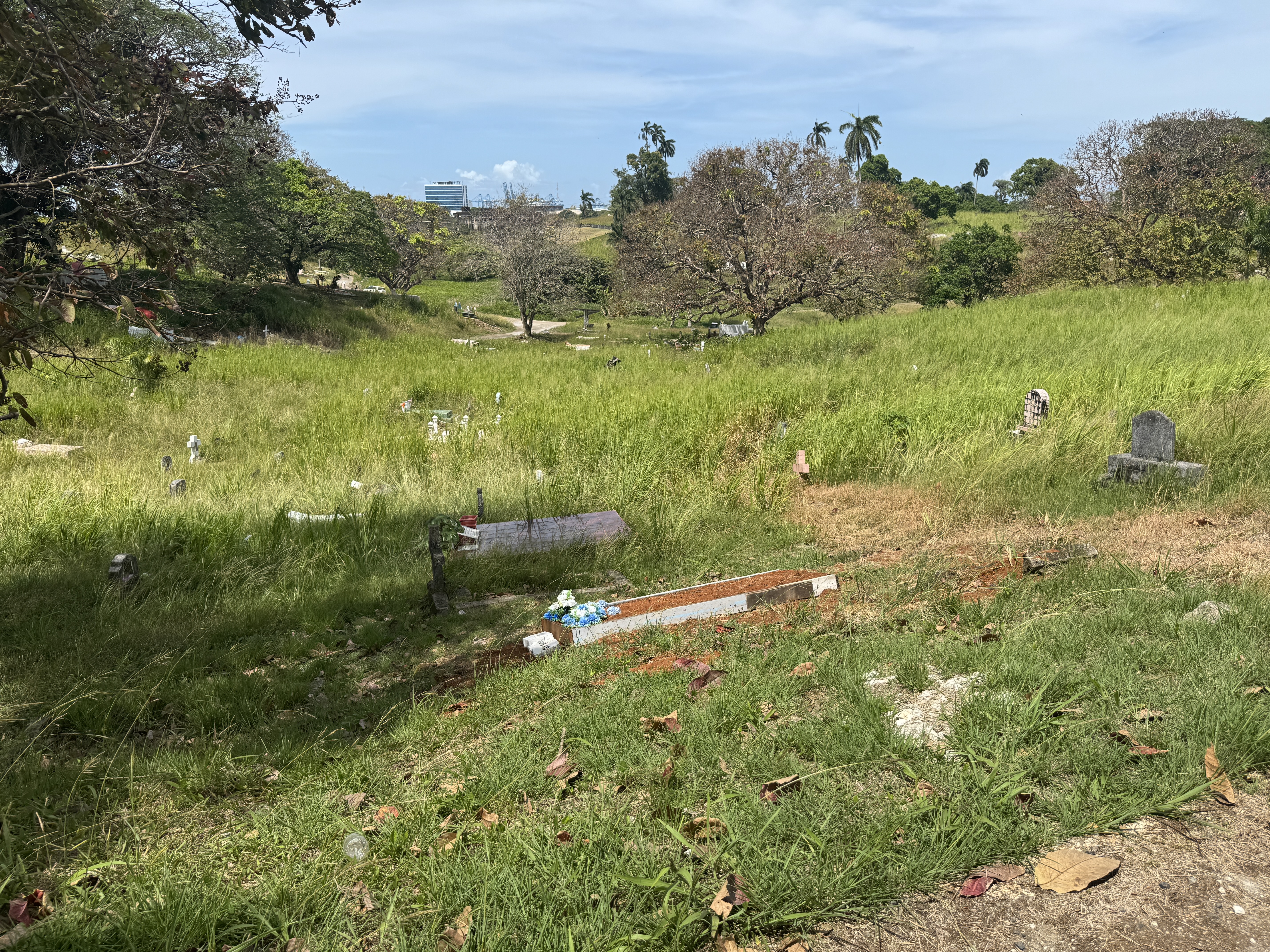 The cemetery grounds are in poor shape.
