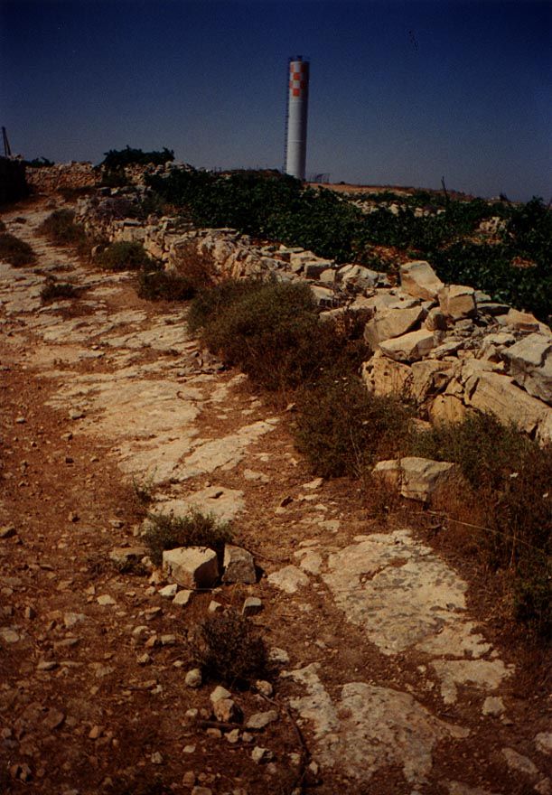 A Roman road winds along a hilltop north of Nev'e Daniel, whose watertower dominates the skyline. Villagers from El Khadr tend the vineyards