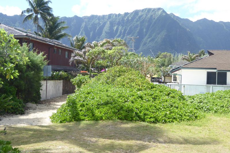 We're down there near the beach but just a bit farther east in Waimanalo. Median income per household: $47,000. That path is worth its weigh