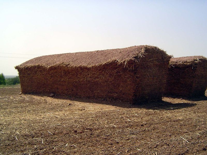 Sorghum straw is worked into barn-shaped stacks, plastered for protection against summer rain.
