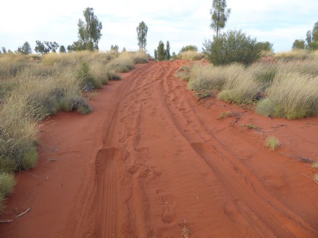 We're a bit over 1,750 miles northwest of Sydney, via Wagga Wagga, Mildura, and Coober Pedy. We're also stuck, though you have to admit that