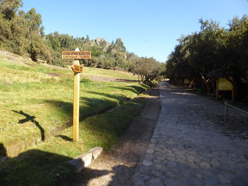 We've parked about five miles from the Cusco cathedral. It's early: big shadows, small crowds.