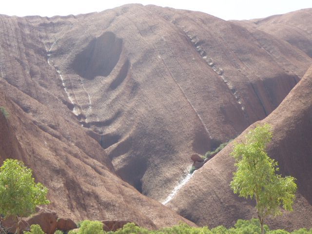 A stream comes down the rock to another perennial pool, this one called Maggie Springs or Mutidjula. Harney writes: "Mutidjula Maggie Spring
