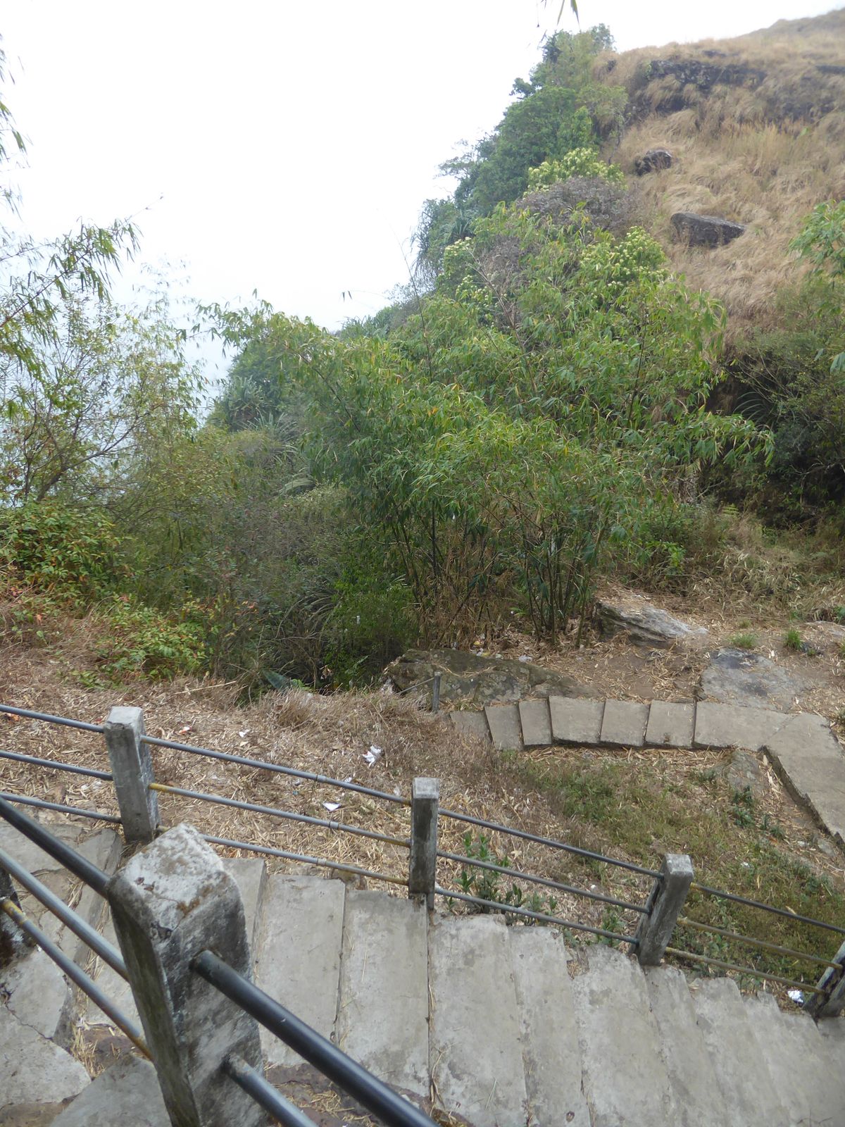Oddly enough, most of the year there's very little surface water at Cherrapunji, and residents have to hunt for it.