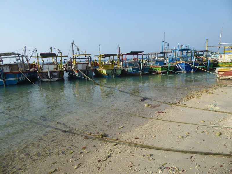 As fishermen, which they are still, local Tamils knew the waters well.