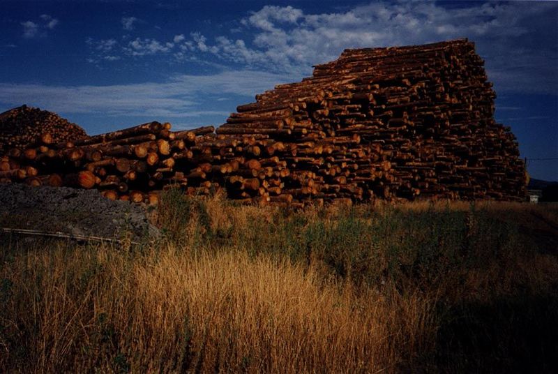 A sawmill's stock near Chinese Camp, in the foothills west of Yosemite.