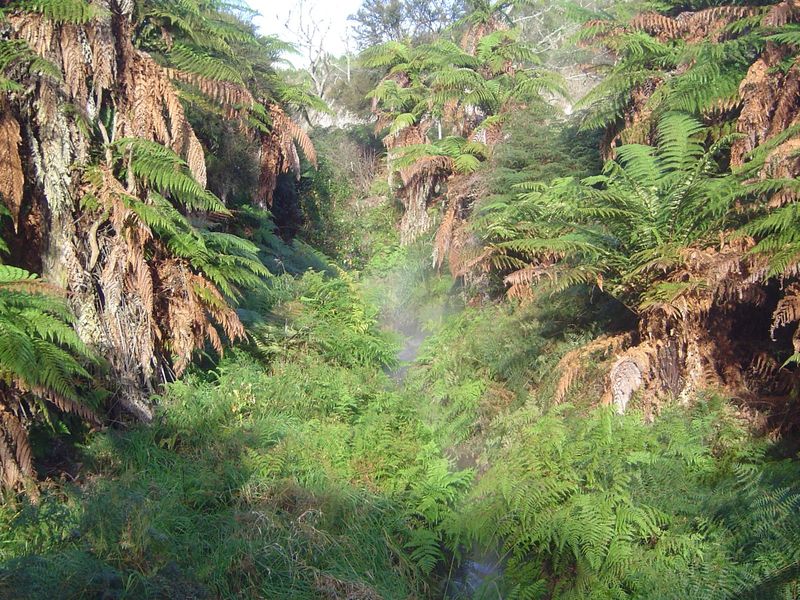 You'd think Lord of the Rings was filmed around here or something. Oh, wait!