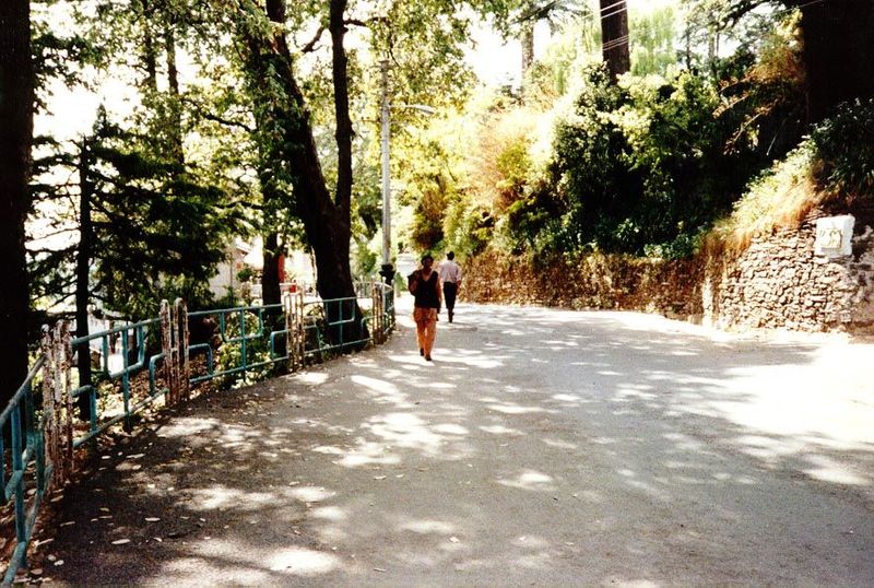 Along the arms of the T, the town thins out into forest lanes.