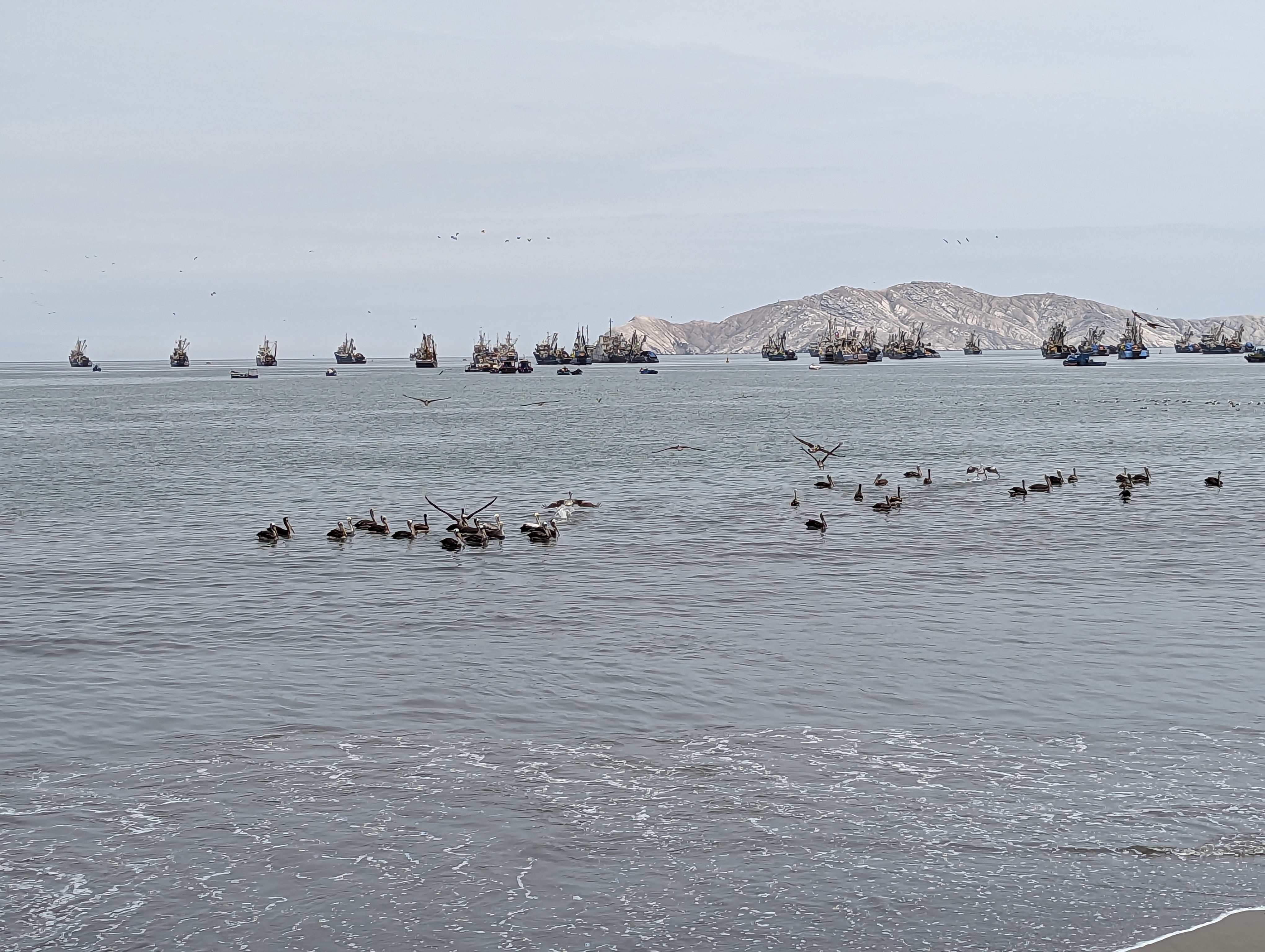 Chimbote is a major fishing port.