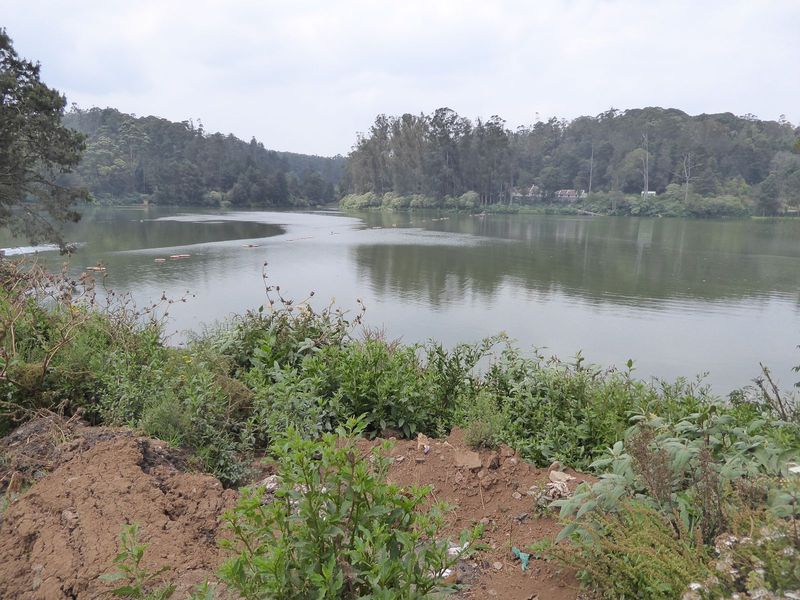 Whenever possible, the British gave hill stations ornamental lakes. They couldn't do it at Shimla, but they could and did do it at Naini Tal