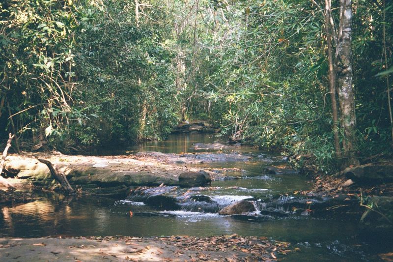 At the end of the path, the modest Siem Reap River.