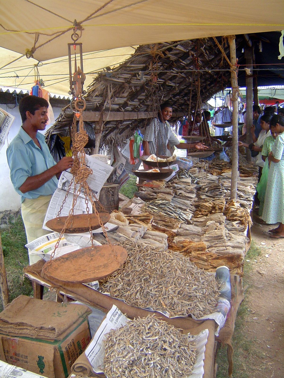Dried fish.