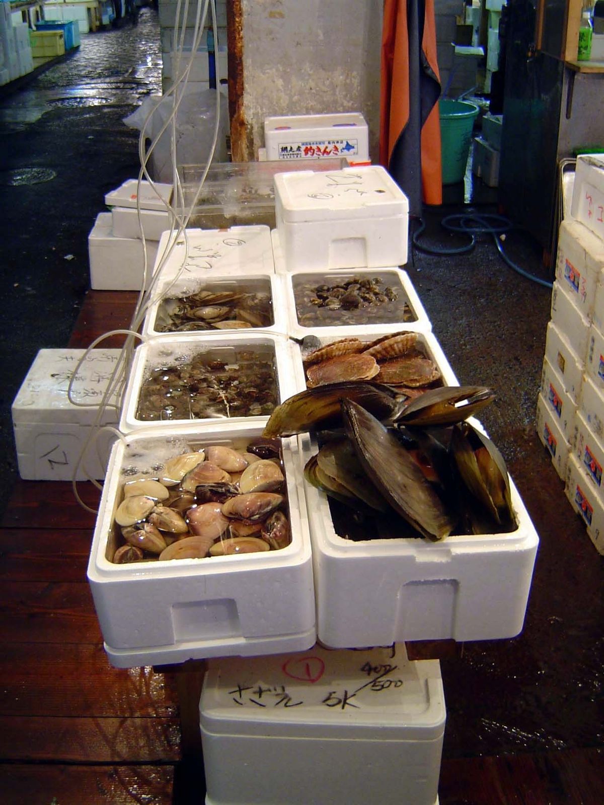 Live shellfish, oxygenated.