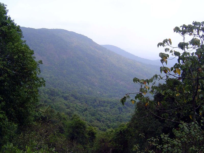 The Western Ghats—the range separating Goa from the Deccan Plateau of the interior—are less rugged here than at Mahabaleshwar. Call them goo