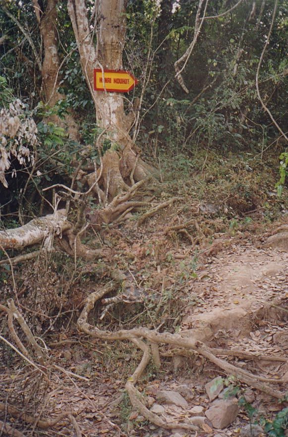Just follow the distinctive signs.