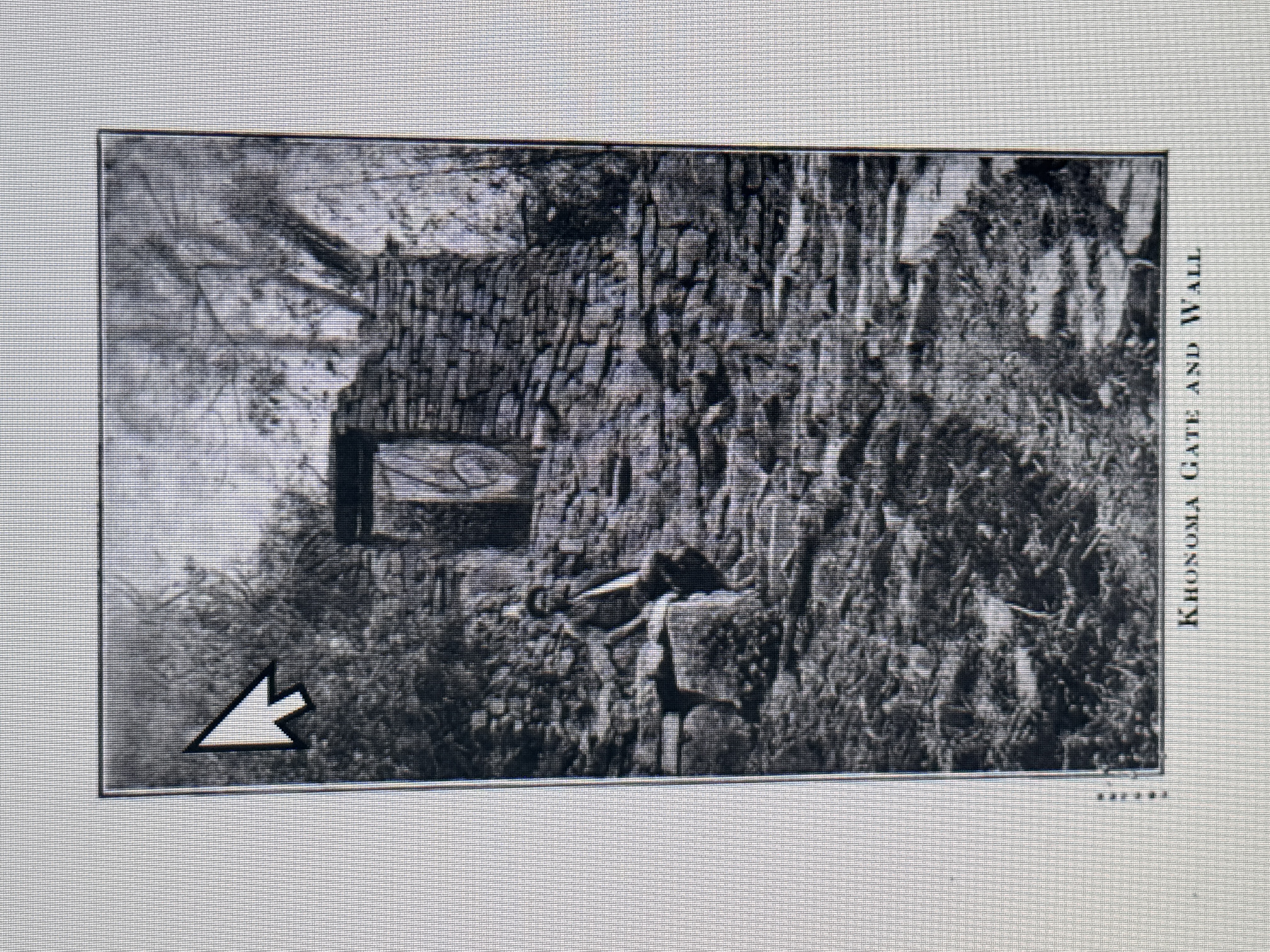 Here's the same gate sometime around 1920 Hutton, The Angami Nagas, p. 155.